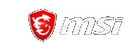 MSI